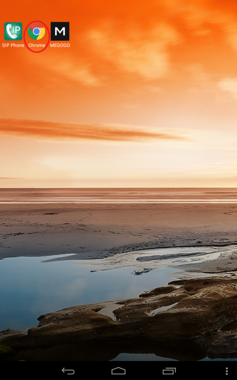 Рис. 1.2